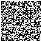 QR code with Spring Lake Oil & More contacts