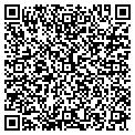 QR code with C'shell contacts