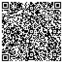 QR code with Cyber Strategies LLC contacts