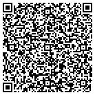 QR code with Spring Creek Holdings LLC contacts