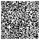 QR code with Spring Creek Elementary contacts