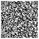 QR code with Public Policy Analysis contacts