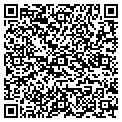 QR code with T-Golf contacts