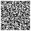 QR code with Professional Pool Center contacts