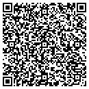 QR code with Badlands Systems Inc contacts