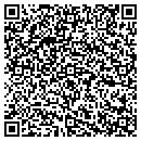 QR code with Bluerio Strategies contacts