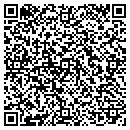 QR code with Carl Pike Consultant contacts