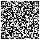 QR code with Public Library contacts