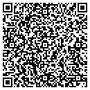 QR code with Public Elements contacts
