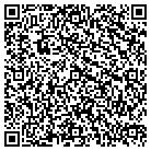 QR code with Saleswise Consulting Inc contacts