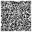 QR code with Precise Technology Inc contacts