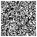 QR code with Carson Consulting Inc contacts
