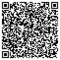 QR code with Moldex contacts