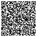 QR code with Dslnet contacts