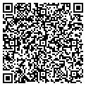 QR code with Dslnet contacts