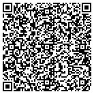 QR code with Prismworks Technology Inc contacts