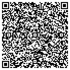 QR code with Bdm Solutions L L C contacts
