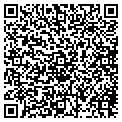 QR code with Cfef contacts