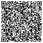 QR code with Public Safety Systems contacts