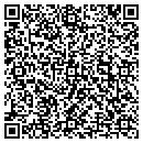 QR code with Primary Systems Inc contacts
