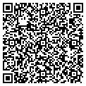 QR code with Vite LLC contacts