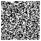 QR code with Professional Support Inc contacts