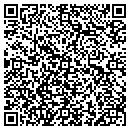QR code with Pyramid Software contacts
