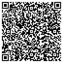 QR code with C P S Systems Inc contacts