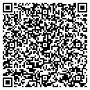 QR code with PYR Web contacts