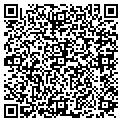 QR code with U Steel contacts