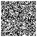 QR code with Pyramid Consulting contacts