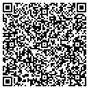 QR code with Puigcomputer.com contacts