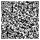 QR code with Pullin Too LLC contacts