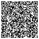 QR code with Pyramid Web Design contacts