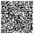 QR code with Team contacts