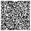 QR code with Bluwire Technologies contacts