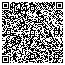 QR code with Cyber Strategies Inc contacts
