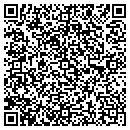 QR code with Professional Gfx contacts