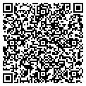 QR code with Engine contacts