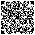 QR code with Digiarm contacts