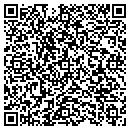 QR code with Cubic Consulting LLC contacts