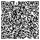 QR code with Cubic Consulting LLC contacts