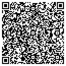 QR code with Process Tech contacts