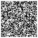 QR code with Premier Innovisions contacts