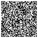 QR code with Professional Web Design contacts