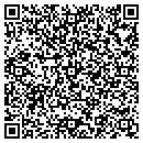 QR code with Cyber One Systems contacts