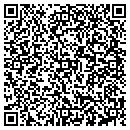 QR code with Princeton Hydro LLC contacts