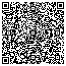 QR code with Protocol One contacts