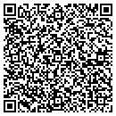 QR code with Ceitek Solutions Inc contacts