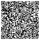 QR code with Baddgor Investing contacts
